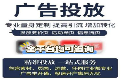解析sem代运营公司经典案例：如何实现ROI最大化